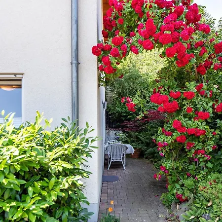 Fewo Im Lenzengarten Apartment