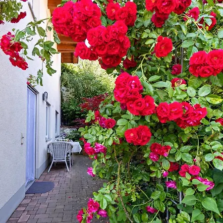 Im Lenzengarten Sulzburg
